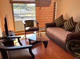 Departamento Aníbal Pinto Concepción