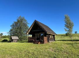 Lakeside cabin with saunas, hot-tub options, hotel v destinaci Antsla