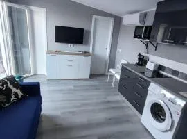 Casa IULIAN
