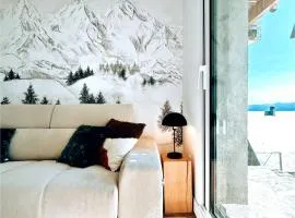 Chalet St Lary 4 pers 100mdespistes classé 4 étoiles