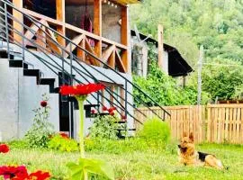 Hause in Mestia Mood Of Silence Svaneti