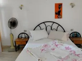 المعموره الشاطئ