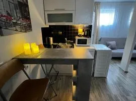 Cozy 1-bdroom apartment in the Centre, free parking