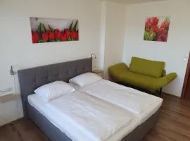 Ubytování Hanka v pokoji s bakónem C408
