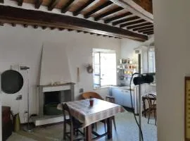 Casa Conti, Riotorto in centro a 7 minuti dal mare