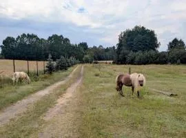 Hacienda Natura Agroturystyka