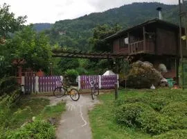Shevi-Han