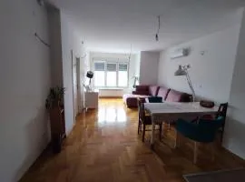 Room in a nice sunny apartment