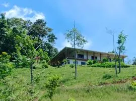 Bosque Místico