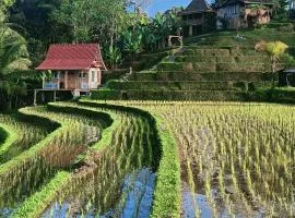 D'Ume Bendoel Homestay