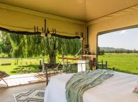 Berry Glamping