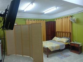 Urban Oasis Apartment 2, hôtel à Castries