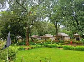 Satpura Adventure resort'