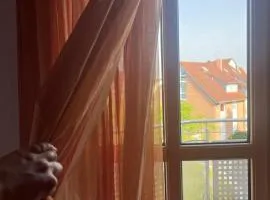 Sonniges Dachzimmer