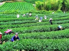Tianyi Homestay