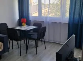 Wielkopolska Apartment