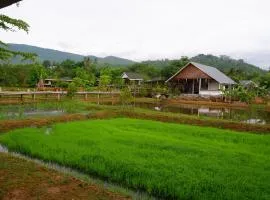 Nok Chan Mee Na