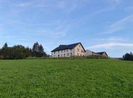 Ferienwohnungen Reutergut, Hotel in Eibenstock