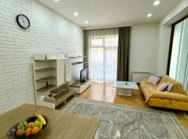 One bedroom apartment-White city
