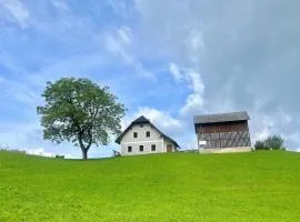 Ferienwohnung Hochtal