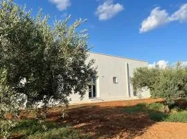 Giardino del Belice