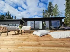 Skandinaavinen mökki rannalla