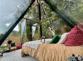 Magnifique Pyramide en Verre