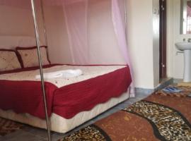 Endalo Hotel, hotel en Sagana