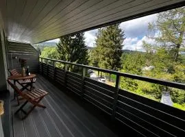 Mountain Apartment Resident - relax s wellness, terasou a soukromou garáží
