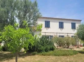 Villa provençale à Arles avec piscine privée et vue jardin.