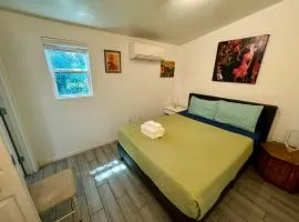 One bedroom apartment with hot tub 2 blocks to Magazine street