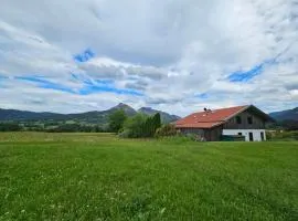 Ferienhaus Faistenau
