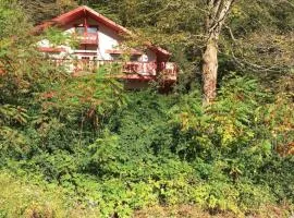 Alpine Four Season Lodge Shandaken NY sleeps 18