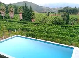 Casa das Feitorias Douro Valley