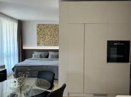 Luxe apartment near the airport