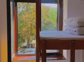 Happy Cat Old Town Hostel