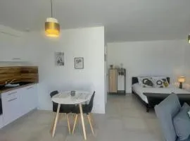 APPART'ICI 1 - Spacieux studio PMR