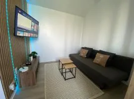 Joli Studio Lumineux et moderne