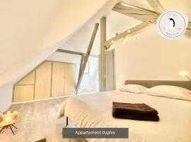 Appartements duplex 3 et 4 personnes - Climatisation - Village élu parmi les "Plus Beaux Villages de France" - Route des Vins - Centre Alsace