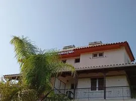 THE PALM ROOMs