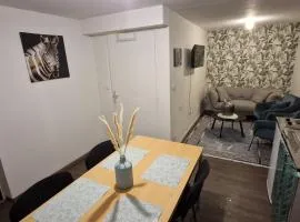 Appartement meublé