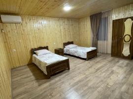 Lizu, hotel in Ambrolauri