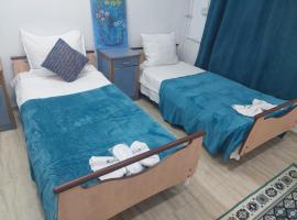 Casa Emilia Ana Maria, hotell i Recaş