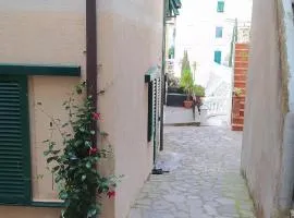 Casa Alice
