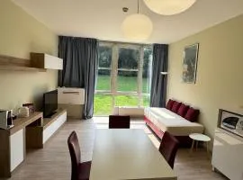 Apartment Borgo 229T