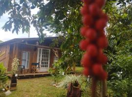 Hostal La Cabaña, penzion v destinaci Mesetas