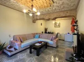 Vila Metushi