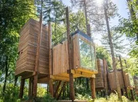 Rooftop Views & Private Sauna