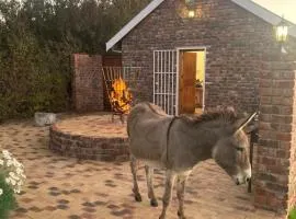 Rivier-Plesier Cottage at Riggton River Farm