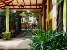 Green Land Guest House